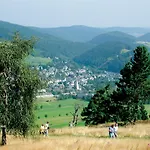 Upland-flair Waldpfad Mit Einzigartigem Berggarten Im Zentrum!