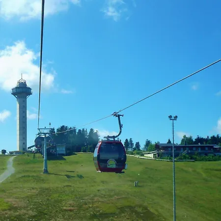 Upland-flair Waldpfad Im Zentrum! Appartement