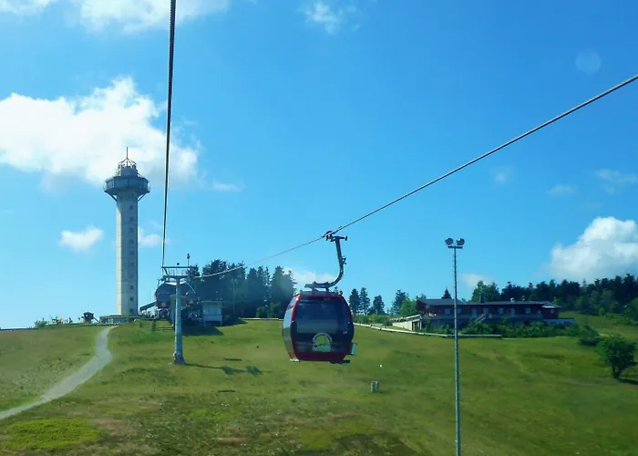 Upland-flair Waldpfad Im Zentrum! Lägenhet